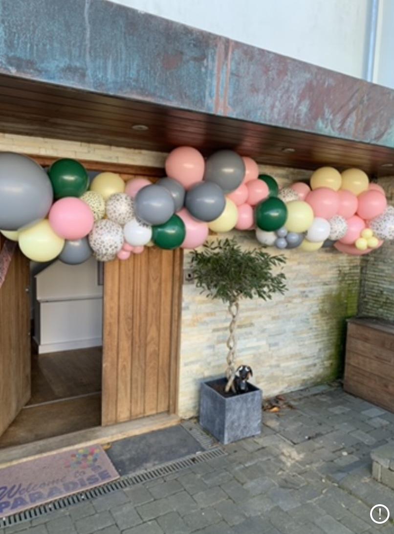 Verbinding vlees terugbetaling Balloon Wise delivering and decorating with helium balloons in Brighton and  Hove East Sussex - Home